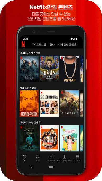 넷플릭스(Netflix)