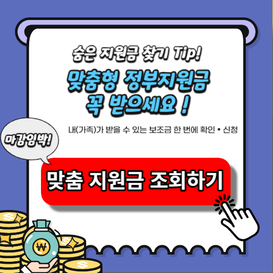 맞춤형 정부지원금 보조금24 (1)